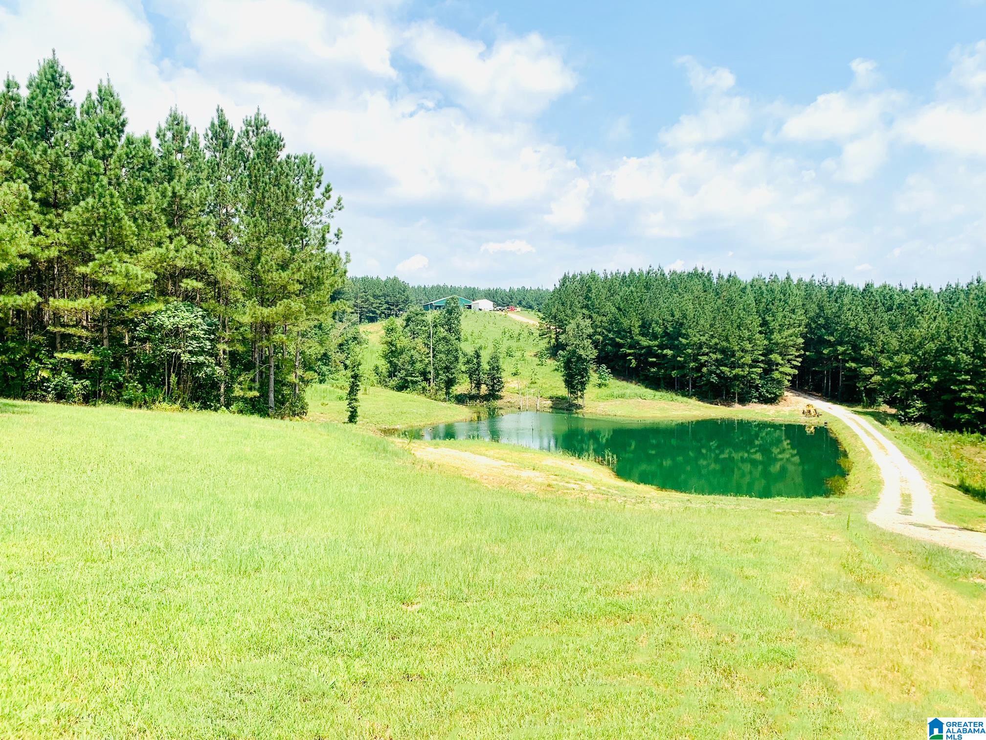516 County Road 482 Heflin, AL 36264 - Photo 1 of 39