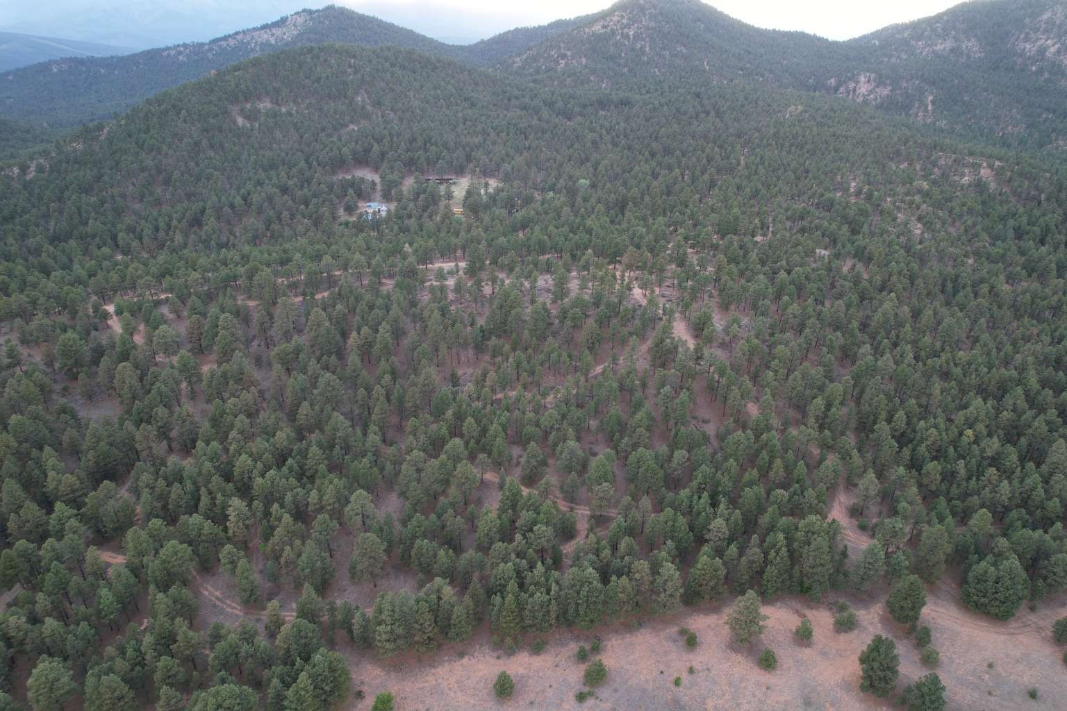 0 A015 County Road Mora, NM 87732 - Photo 7 of 40