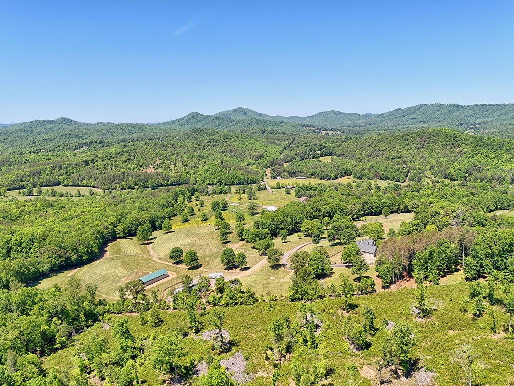 1193 Pine Log Road Warne, NC 28909 - Photo 65 of 75