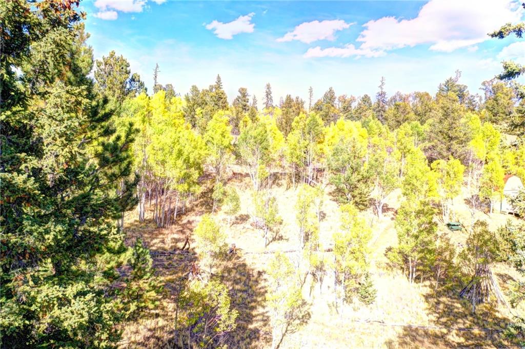 1311 Signal Ridge Road Como, CO 80432 - Photo 11 of 21 Gallery Image 11