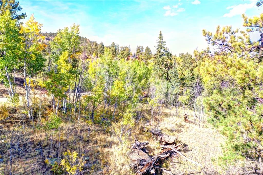 1311 Signal Ridge Road Como, CO 80432 - Photo 17 of 21 Gallery Image 17