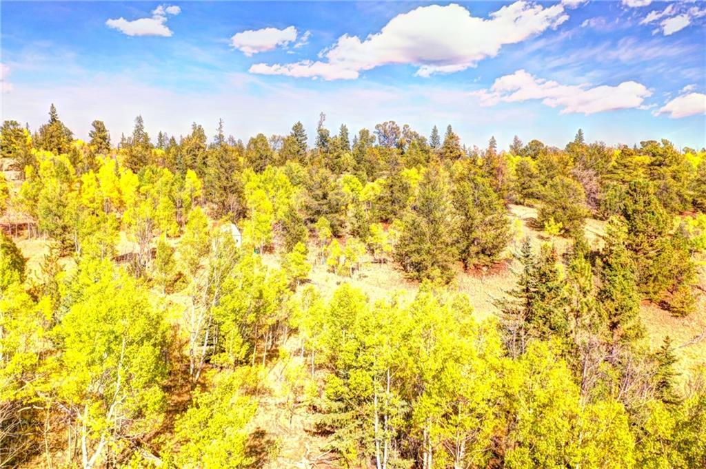 1311 Signal Ridge Road Como, CO 80432 - Photo 4 of 21 Gallery Image 4