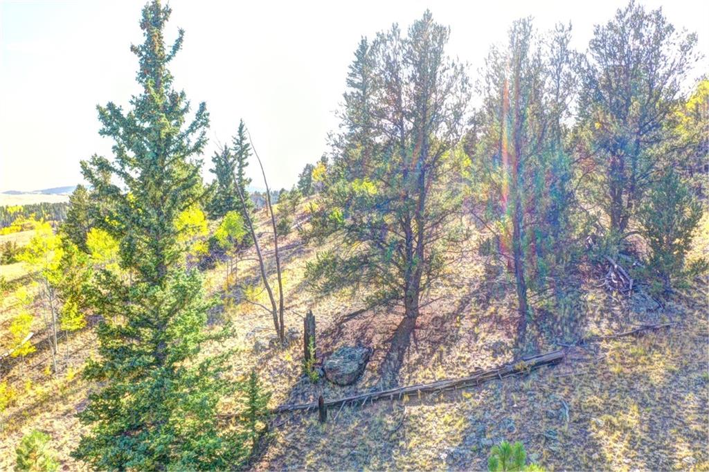 1311 Signal Ridge Road Como, CO 80432 - Photo 6 of 21 Gallery Image 6
