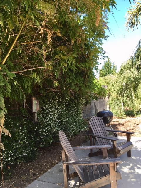 3306 Gross Road Santa Cruz, CA 95062 - Photo 13 of 23 Gallery Image 13