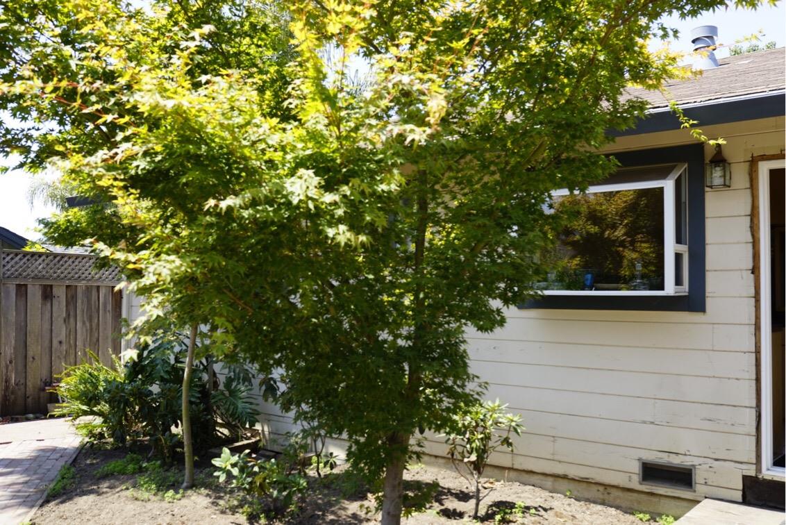 3306 Gross Road Santa Cruz, CA 95062 - Photo 8 of 23 Gallery Image 8