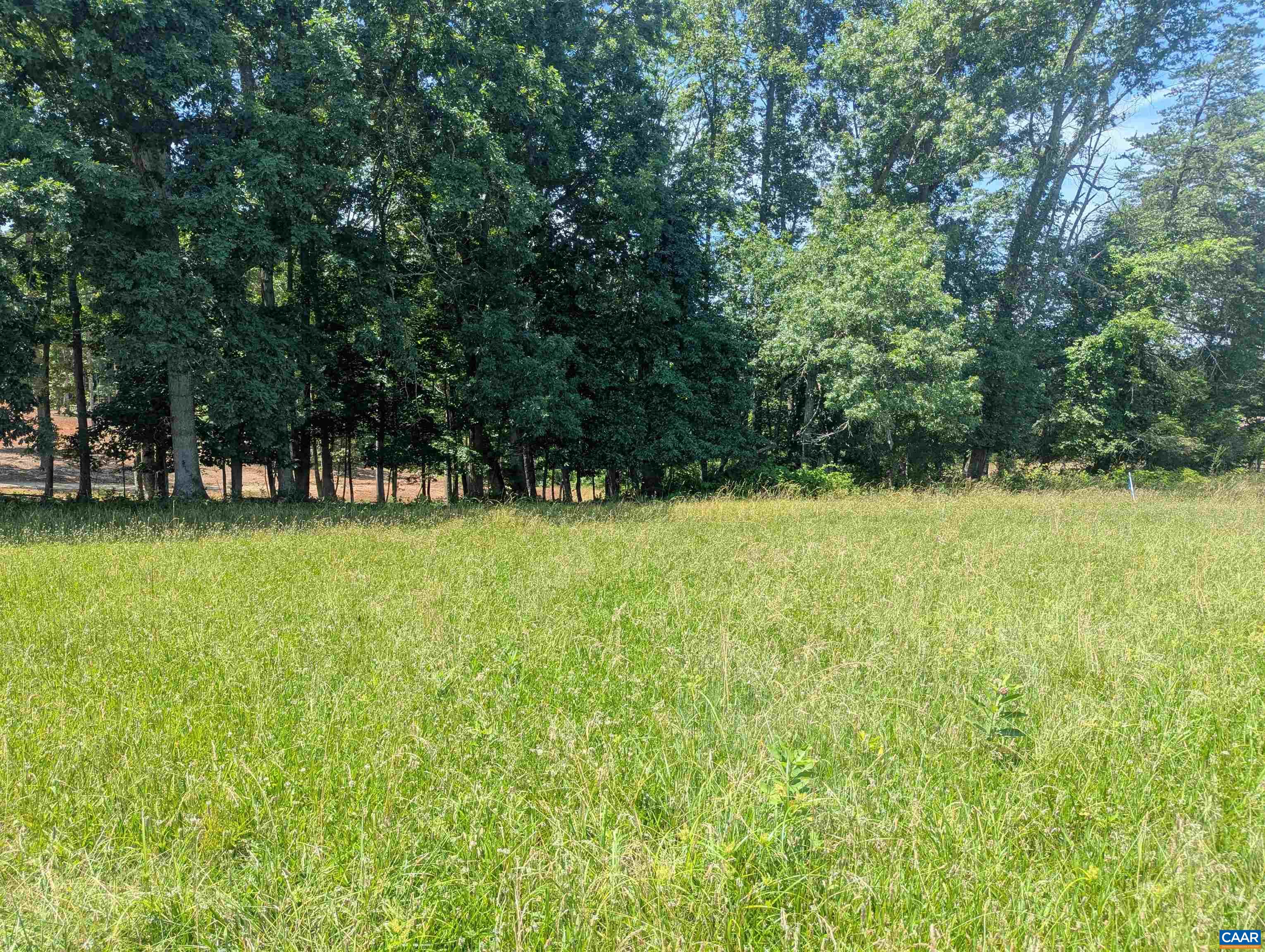 Lot 7 Advance Mills Road Ruckersville, VA 22968 - Photo 7 of 26 a view of a lake view
