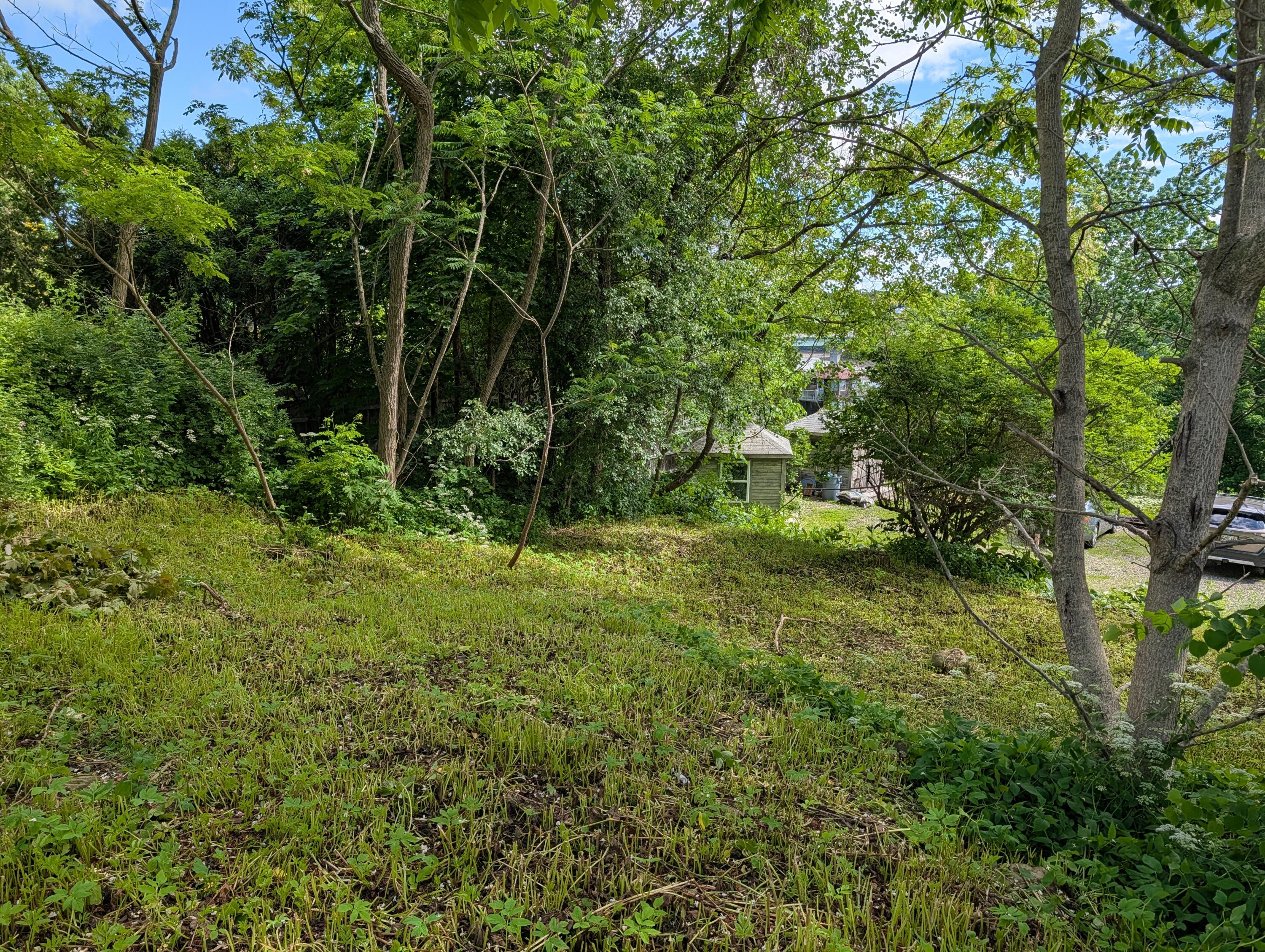 259 High Street Belfast, ME 04915 - Photo 13 of 16 PXL_20260619_135932029