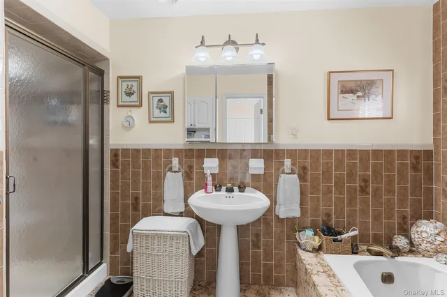 a view of a garden with plants and large trees