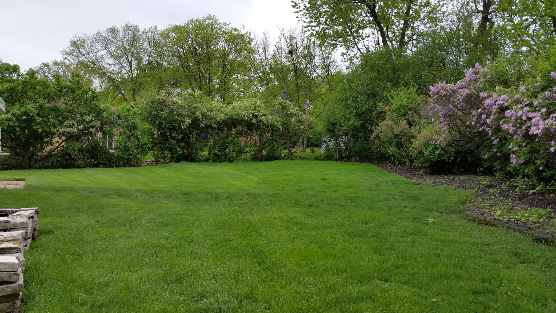 812 North Merrill Street Park Ridge, IL 60068 - Photo 26 of 30 a view of a grassy field with trees