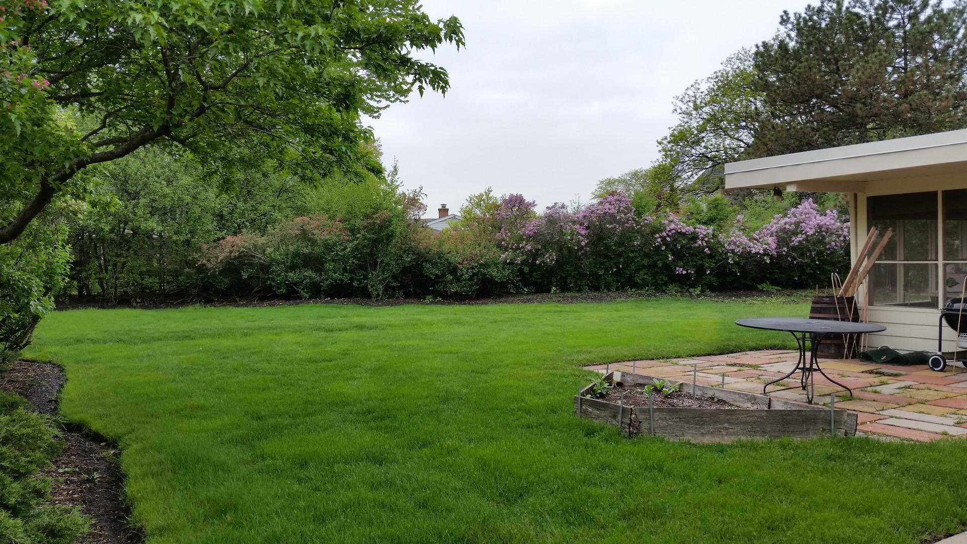 812 North Merrill Street Park Ridge, IL 60068 - Photo 27 of 30 a view of a garden with a bench
