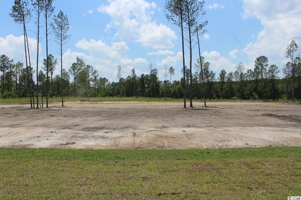 2803 Allen Dew Road Conway, SC 29527 - Photo 22 of 31