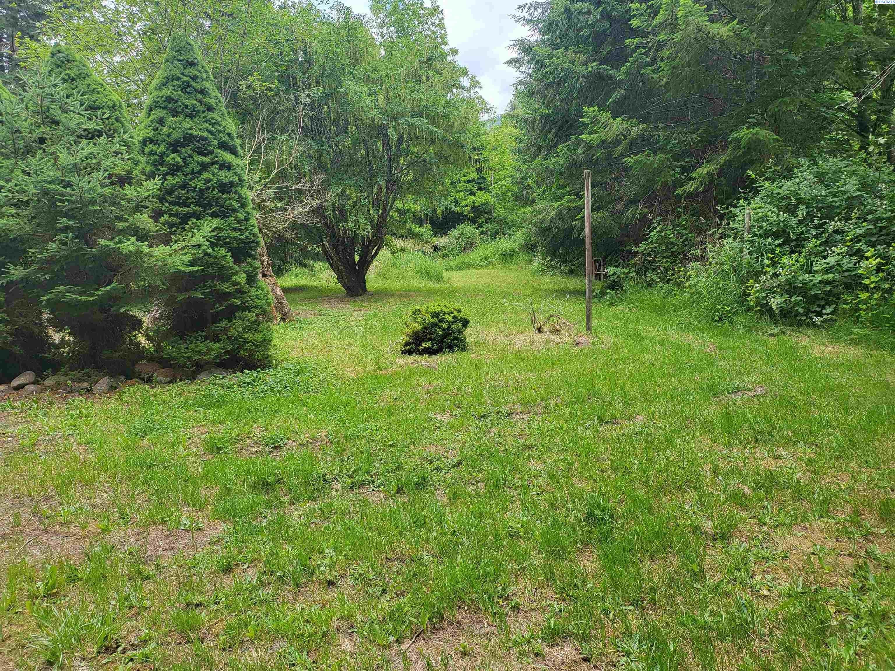117 Cedar Grove Road Randle, WA 98377 - Photo 35 of 49 Gallery Image 35