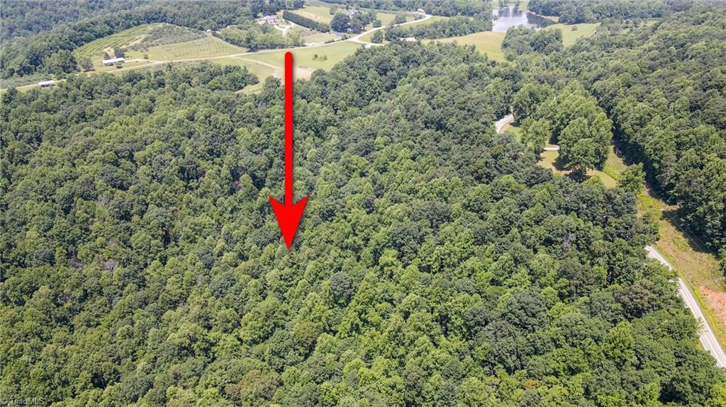 0 Hendren Road Moravian Falls, NC 28654 - Photo 12 of 13