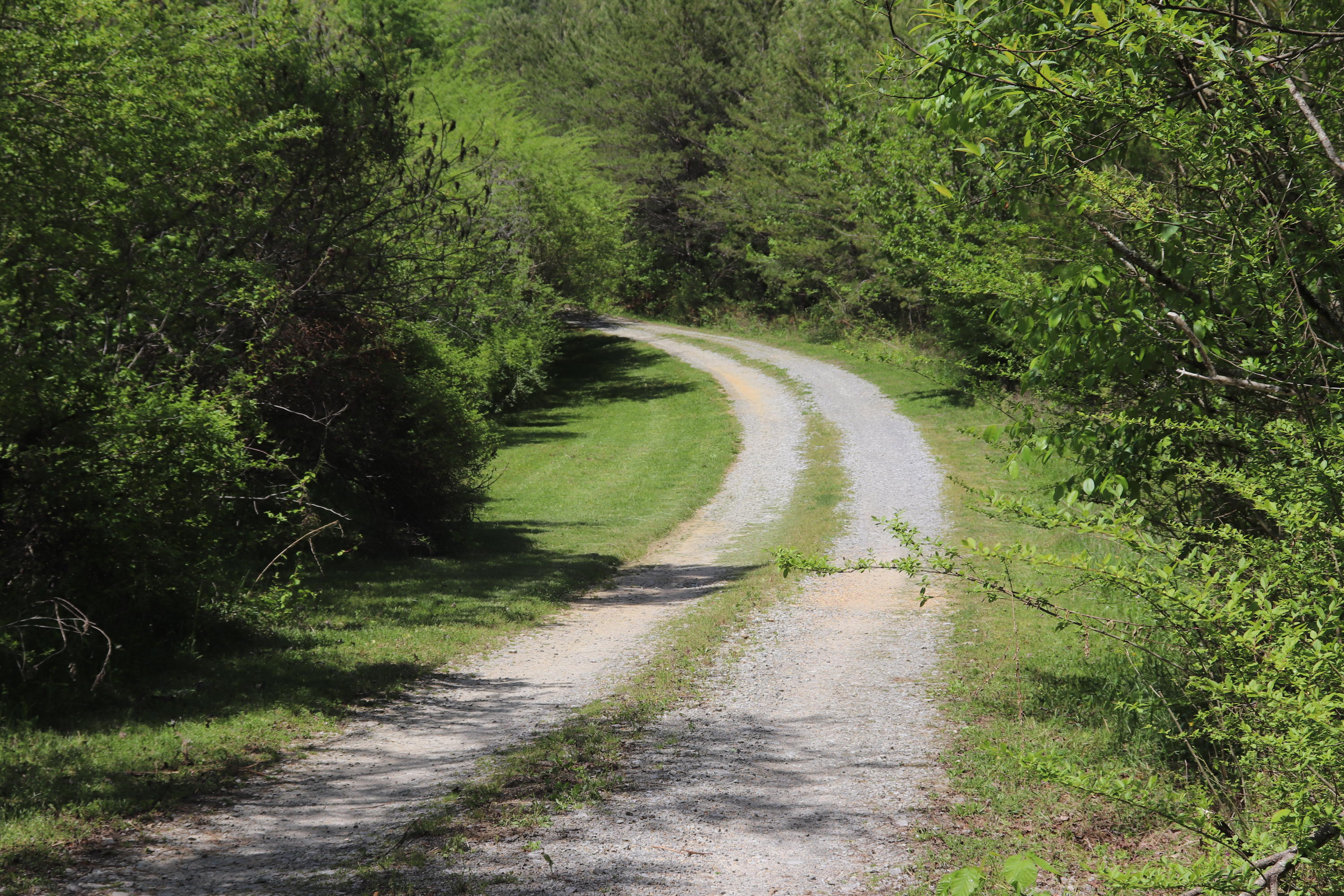 1439 Reagan Valley Road Tellico Plains, TN 37385 - Photo 1 of 6 IMG_0593