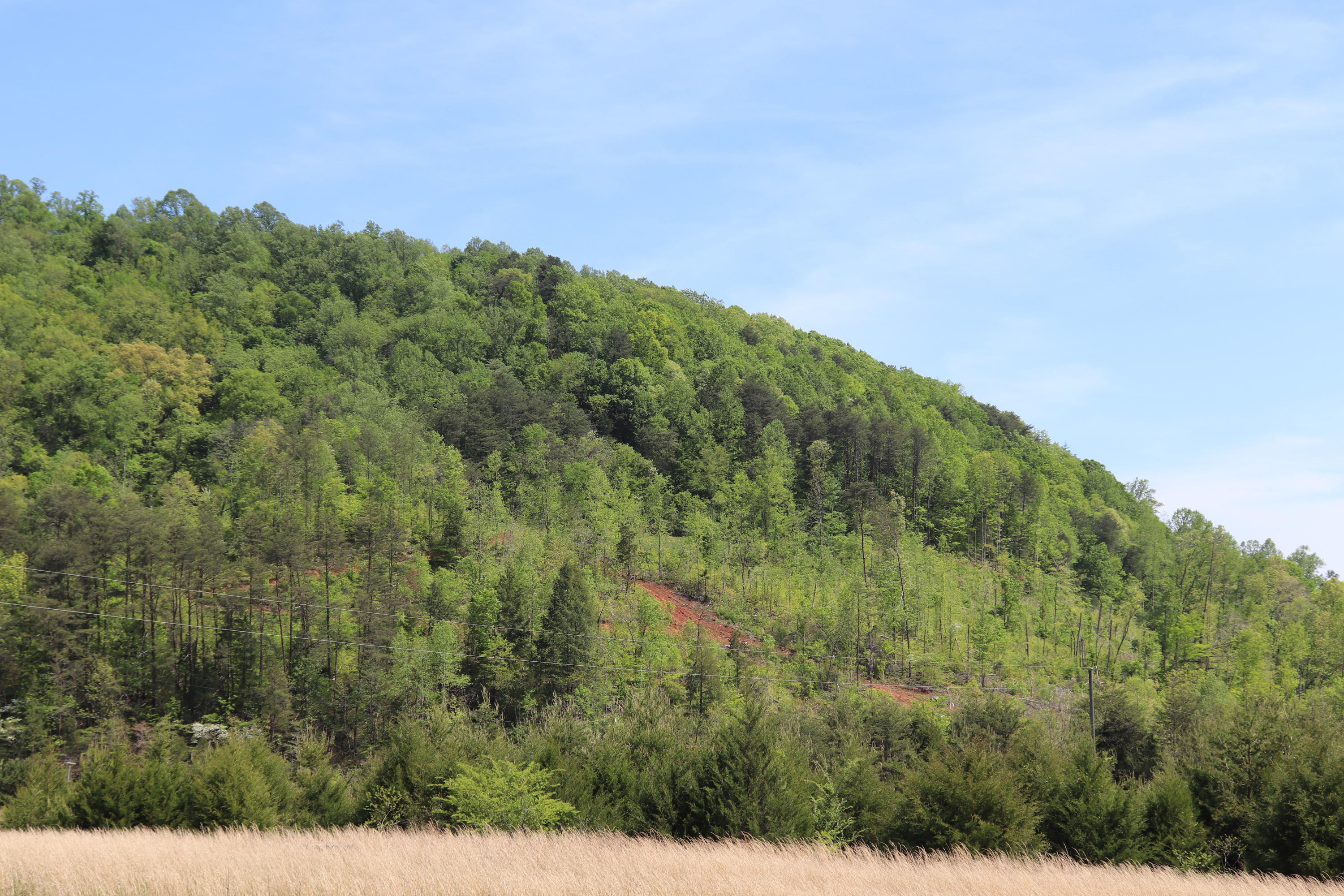 1439 Reagan Valley Road Tellico Plains, TN 37385 - Photo 3 of 6 IMG_0591