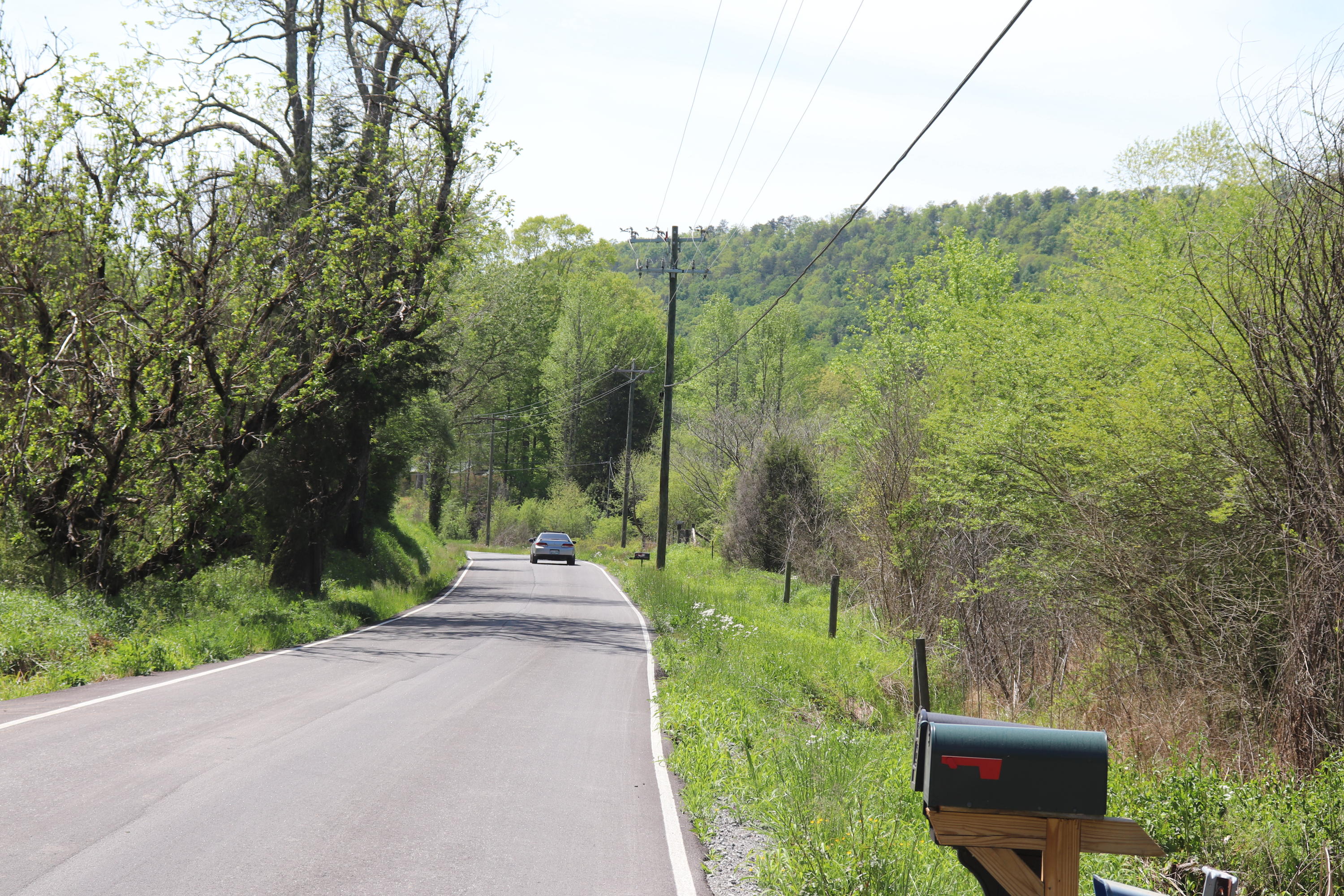 1439 Reagan Valley Road Tellico Plains, TN 37385 - Photo 5 of 6 IMG_0599