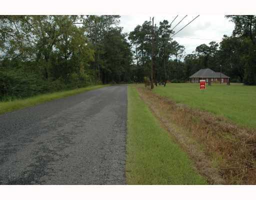 29445 George White Road Holden, LA 70744 - Photo 3 of 5