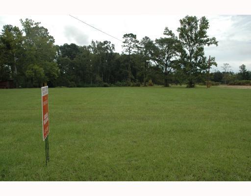 29445 George White Road Holden, LA 70744 - Photo 5 of 5