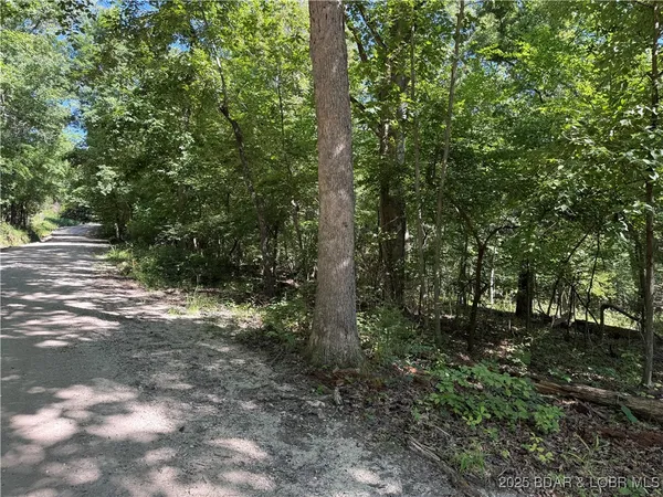 $22,500 | Tbd Lot #2 Tbd Drive, Camdenton, MO 65020