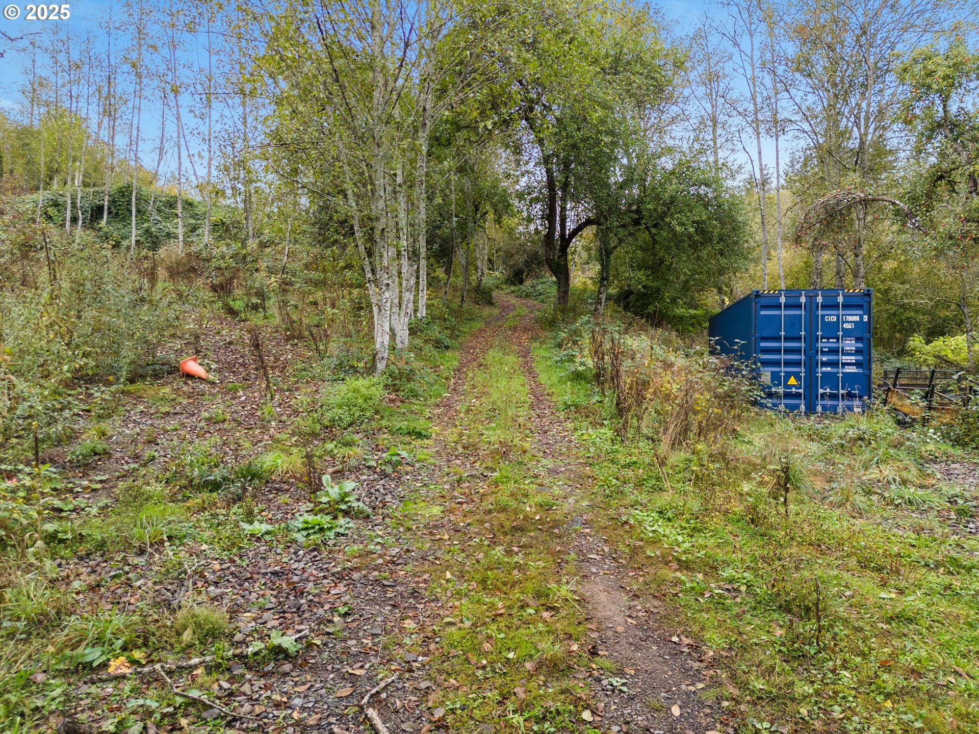 0 Southeast Washougal River Road Washougal, WA 98671 - Photo 11 of 28 a view of a back yard