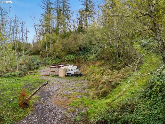 a view of a backyard with trees