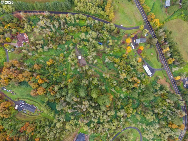 a close up of a tree