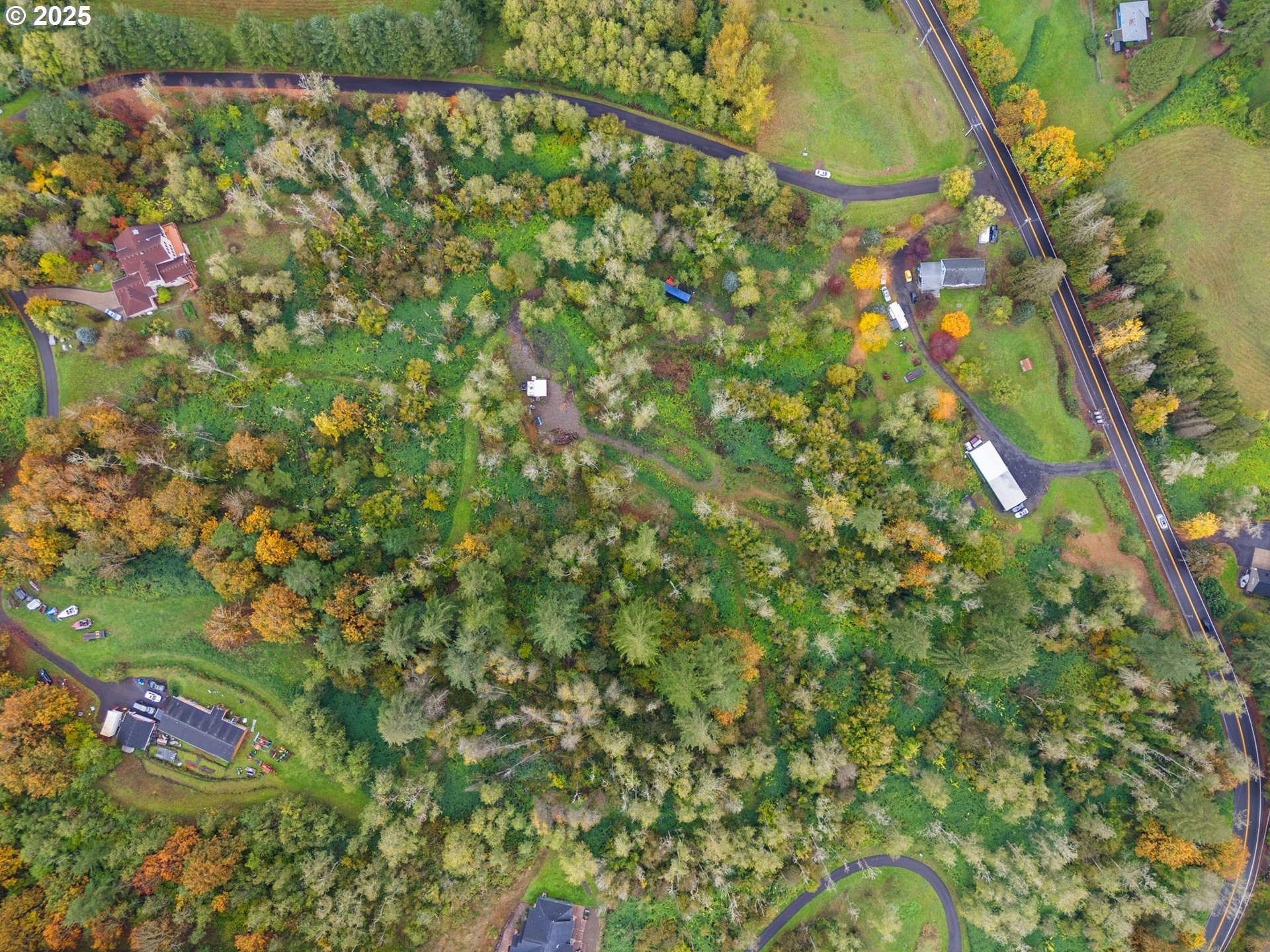 0 Southeast Washougal River Road Washougal, WA 98671 - Photo 13 of 28 a close up of a tree