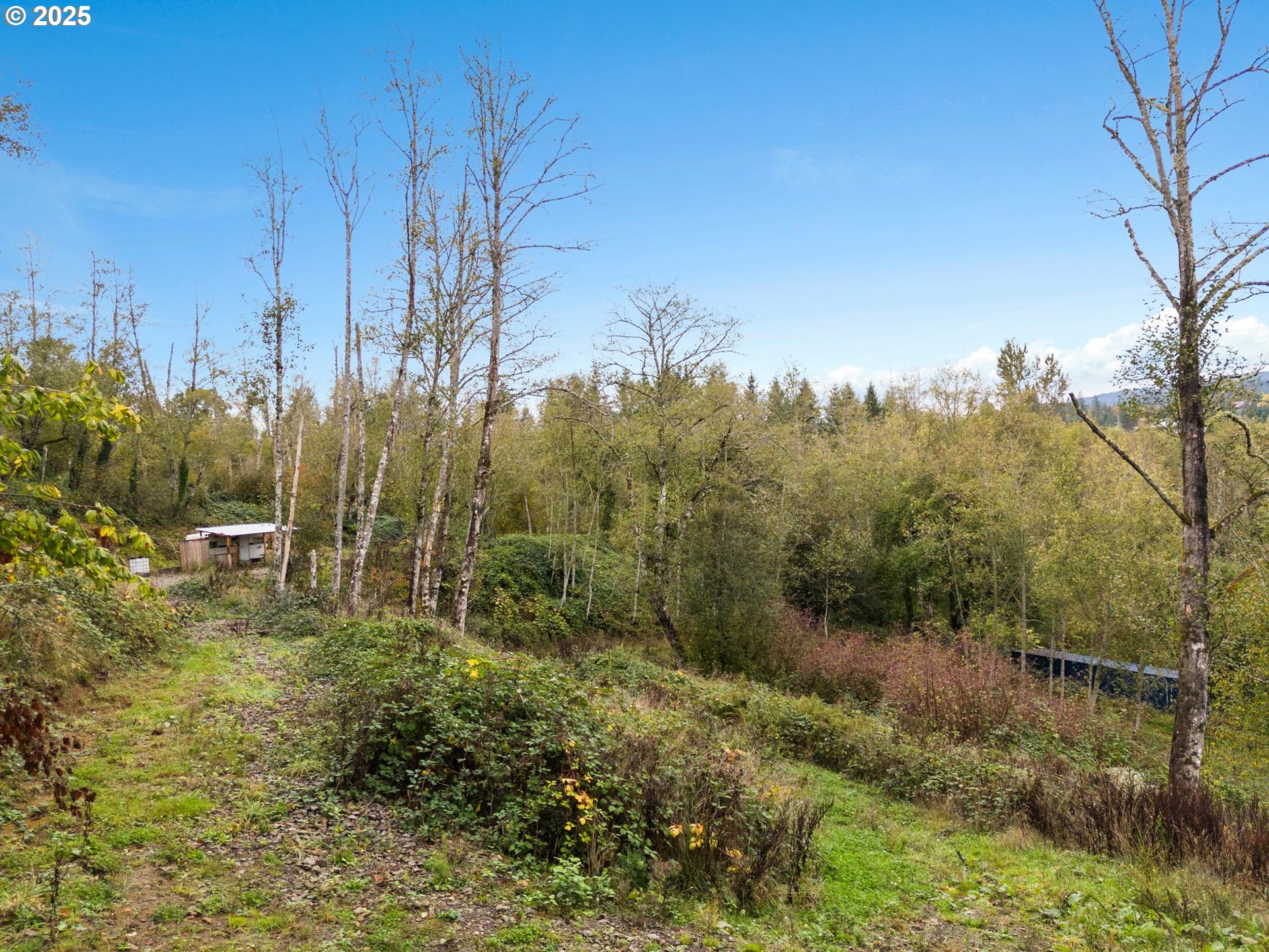 0 Southeast Washougal River Road Washougal, WA 98671 - Photo 14 of 28 a view of a yard with large trees