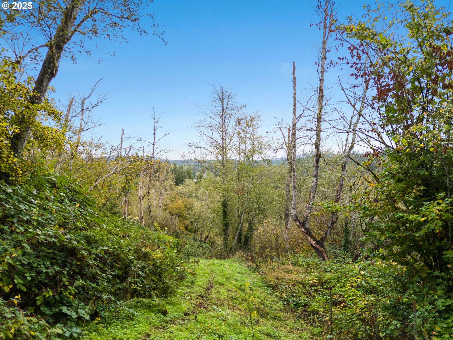 0 Southeast Washougal River Road Washougal, WA 98671 - Photo 15 of 28 a view of lake view