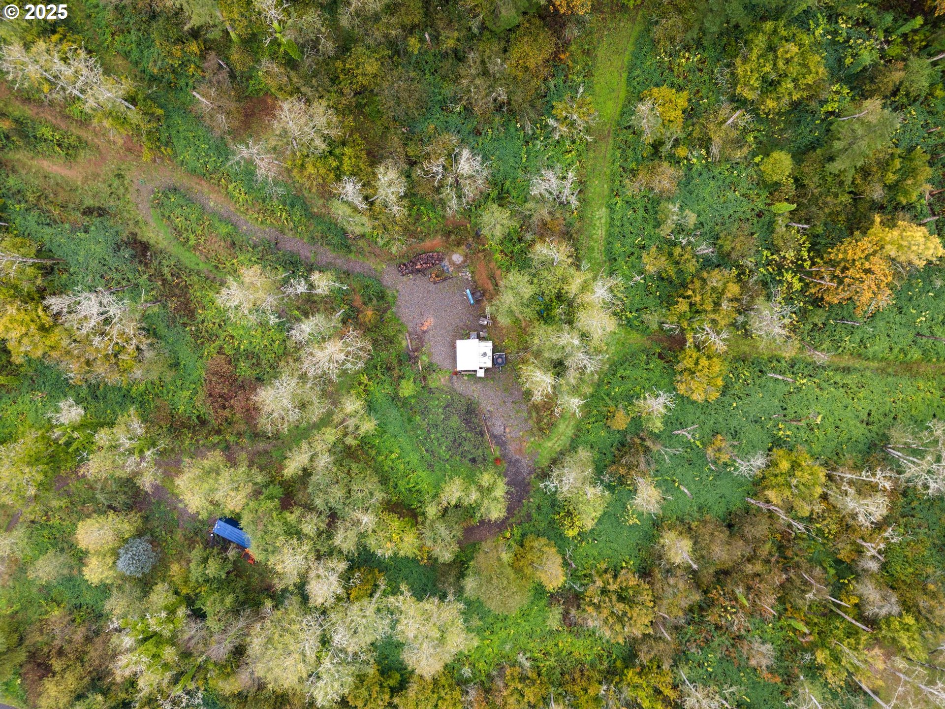 0 Southeast Washougal River Road Washougal, WA 98671 - Photo 17 of 28 a view of yard