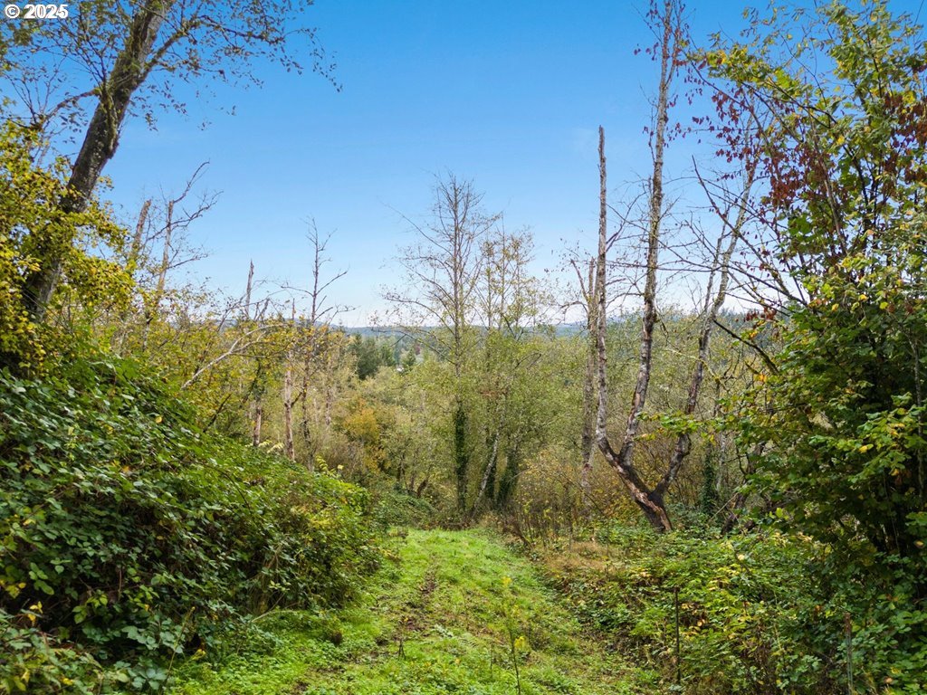 0 Southeast Washougal River Road Washougal, WA 98671 - Photo 24 of 28 a view of lake view