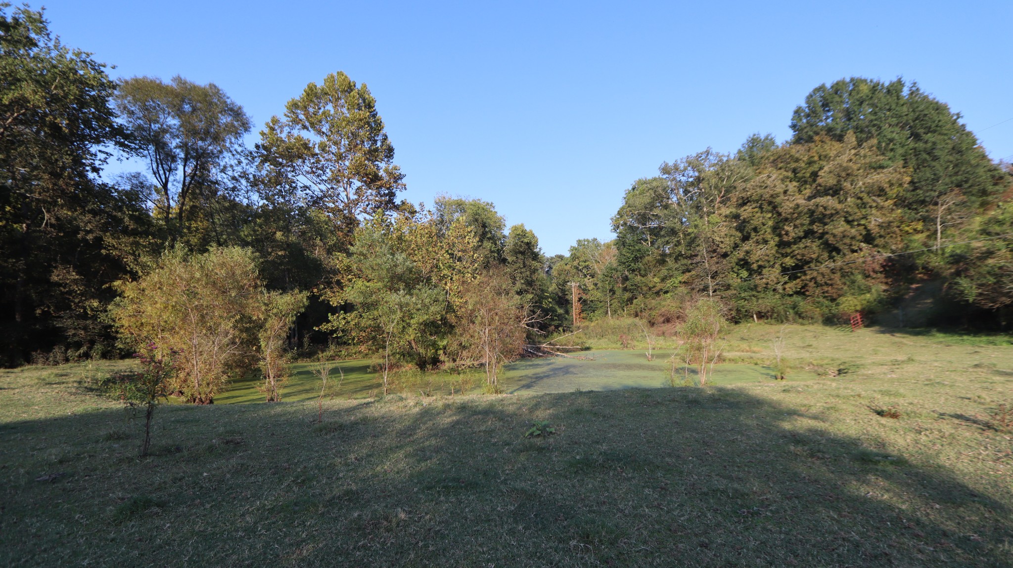 3876 Raleigh-Elam Road Santa Fe, TN 38482 - Photo 36 of 61 a view of dirt field with large trees