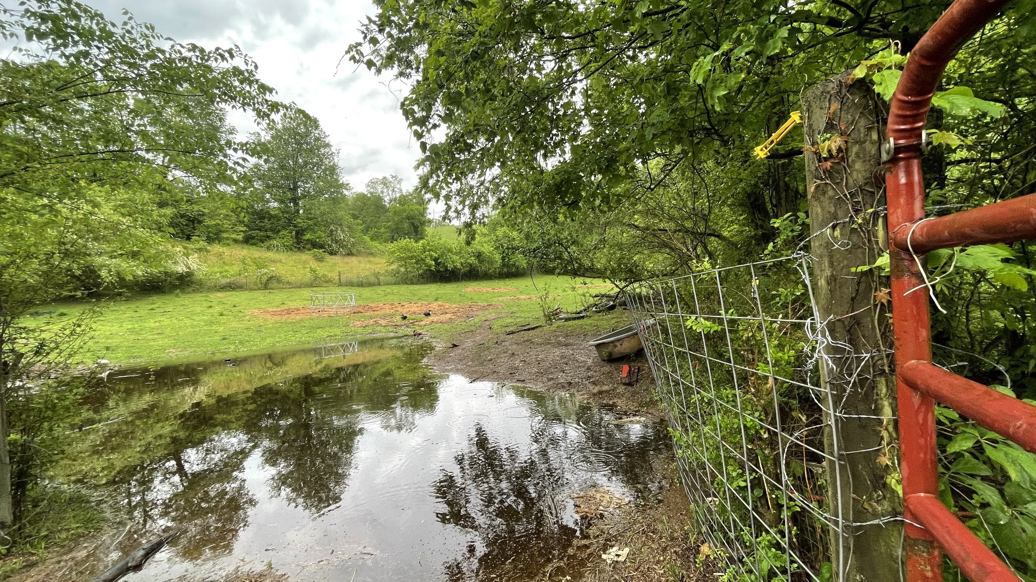 3876 Raleigh-Elam Road Santa Fe, TN 38482 - Photo 4 of 61 a view of a lake with a yard