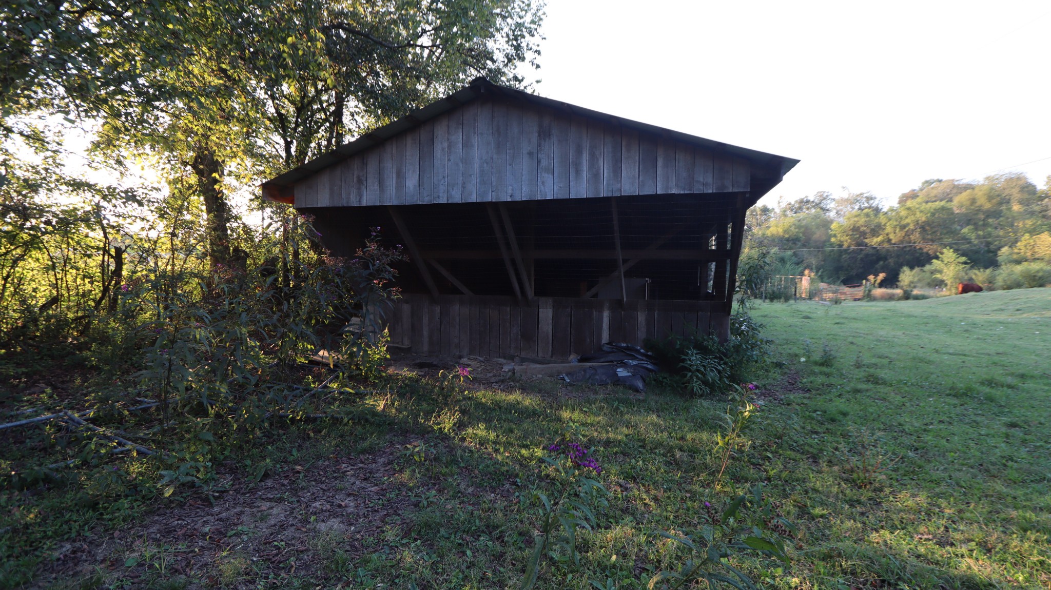 3876 Raleigh-Elam Road Santa Fe, TN 38482 - Photo 8 of 61 a couple of table and chairs in a yard with large trees