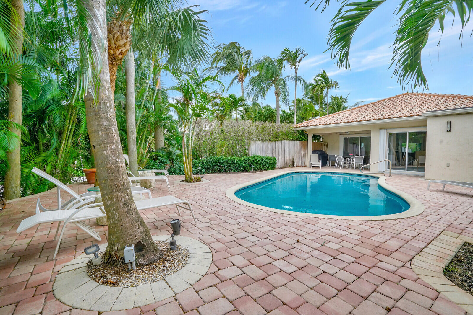 290 East Fern Drive Boca Raton, FL 33432 - Photo 37 of 51 Resort-Style Backyard