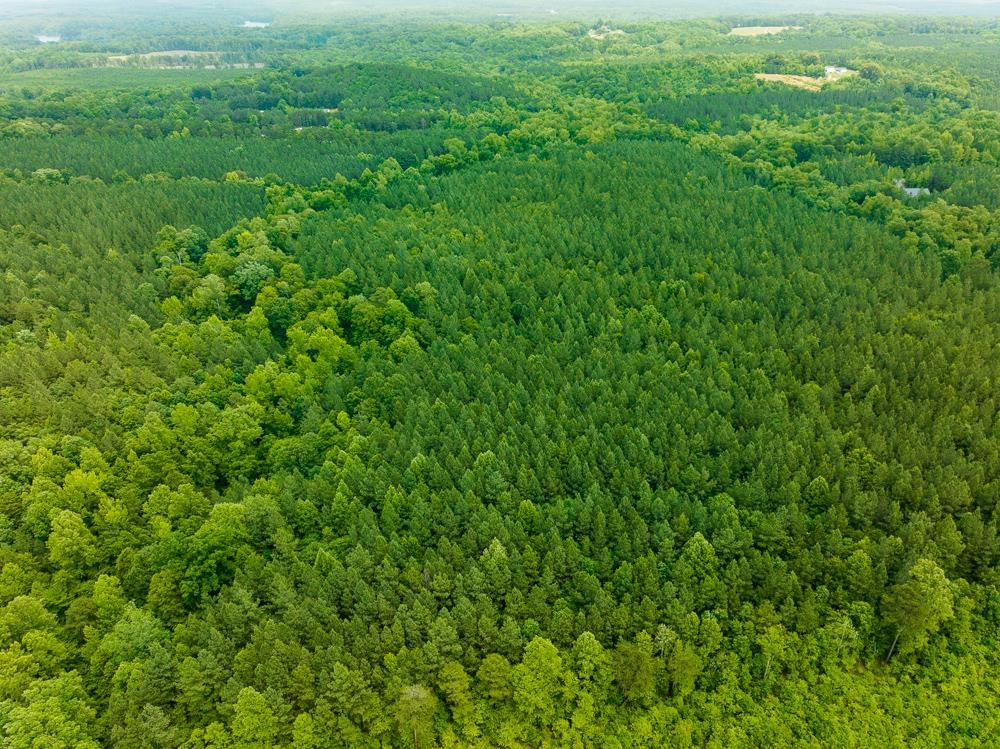 0 Mill Creek Road Roxboro, NC 27574 - Photo 23 of 54 Photo 23
