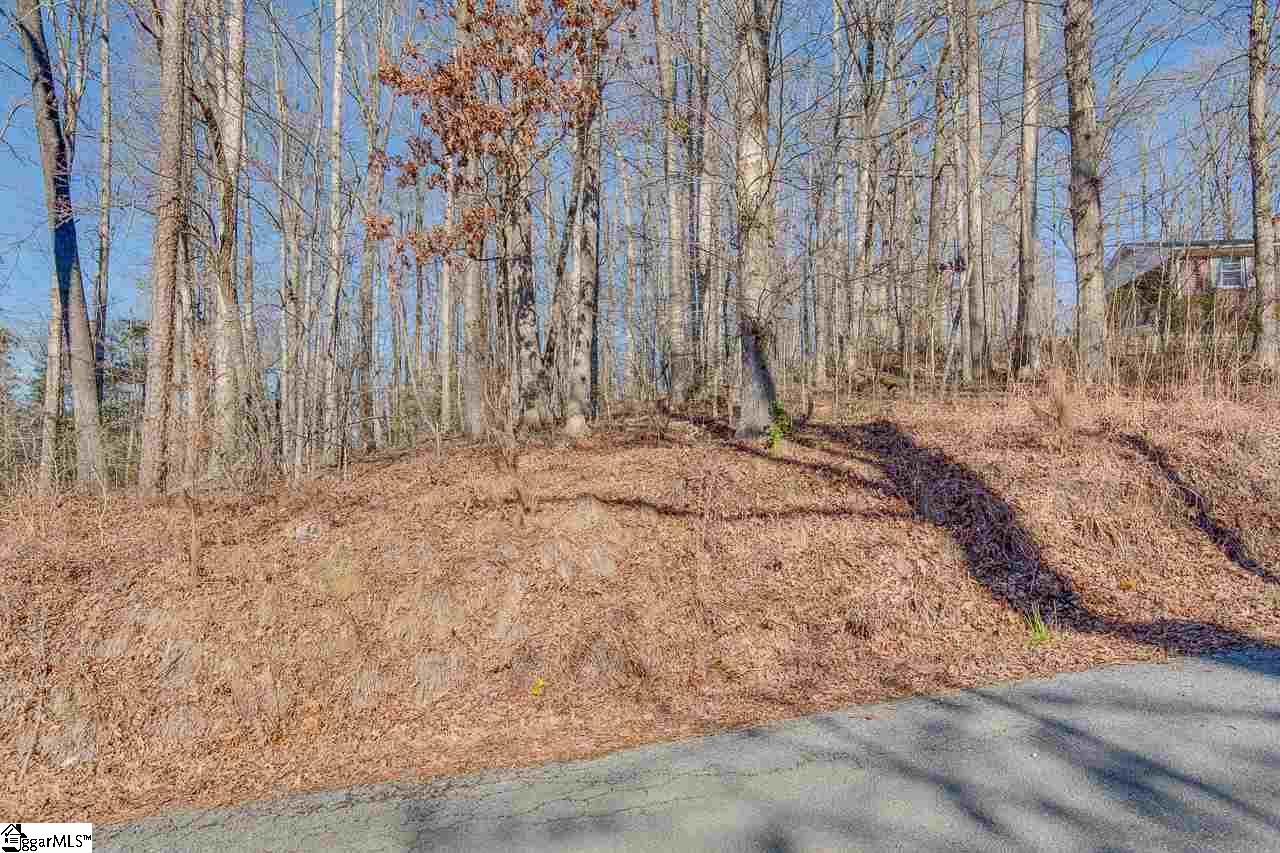 136 Rusty Lane Easley, SC 29642 - Photo 28 of 29 Gallery Image 28