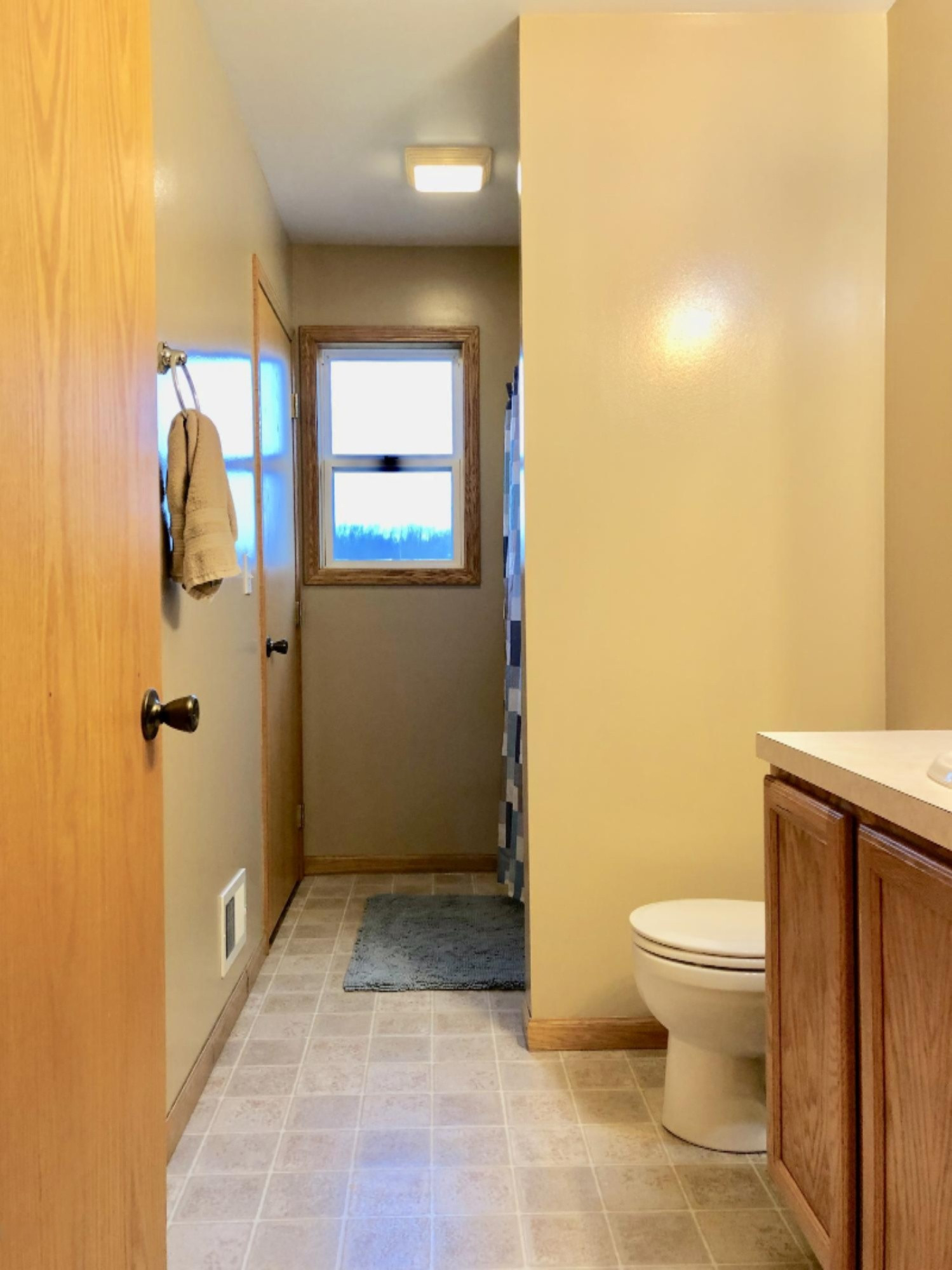 15731 Edgar Road Howard City, MI 49329 - Photo 19 of 29 fullsizeoutput_1da1