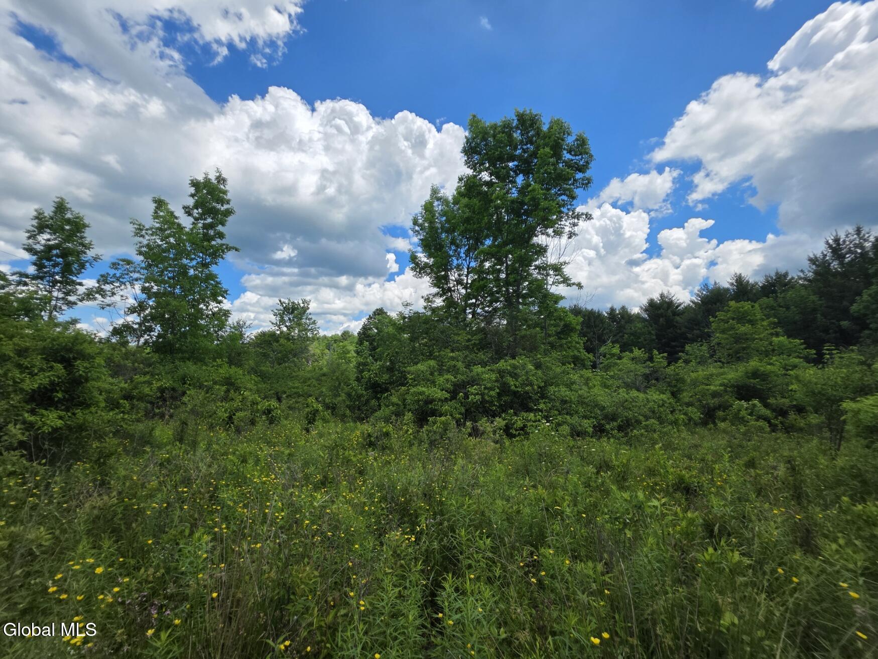 419 Halbert Hill Road Butternuts, NY 13843 - Photo 38 of 48 20260617_123638