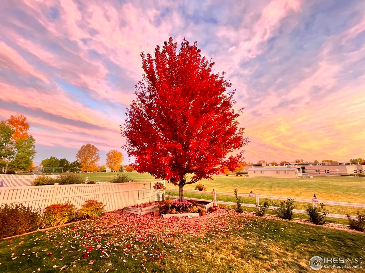 6607 Echo Circle Firestone, CO 80504 - Photo 36 of 40 a view of lake with outdoor space