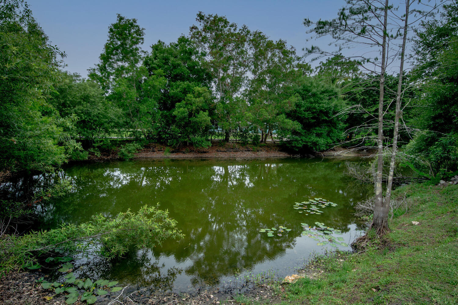 9709 154th Road North Jupiter, FL 33478 - Photo 4 of 37 Private Pond