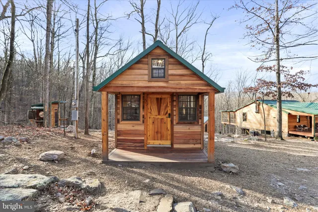 a view of dirt yard with a large tree
