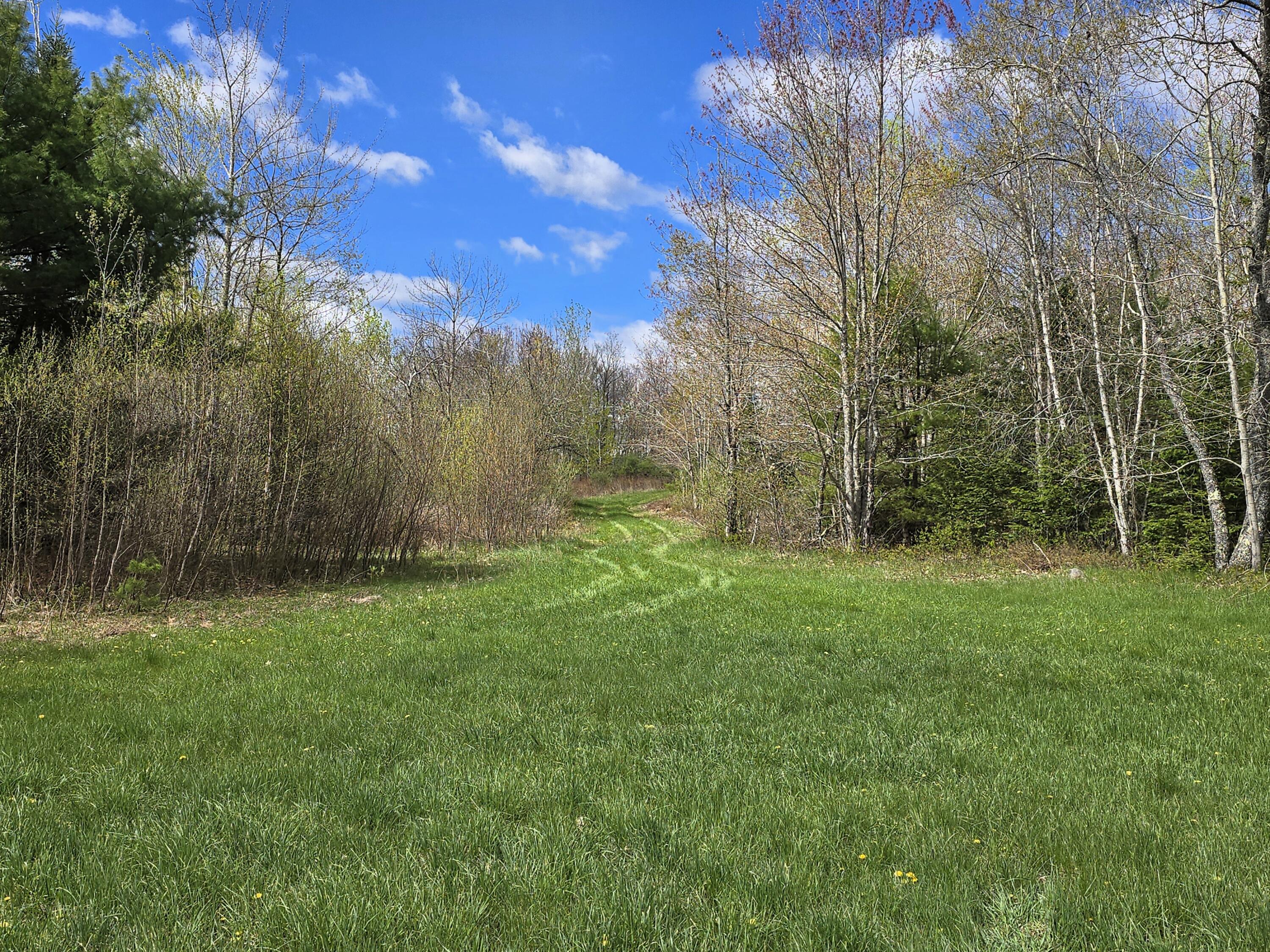 43 Dodge Road Burnham, ME 04922 - Photo 11 of 15 Rear Field