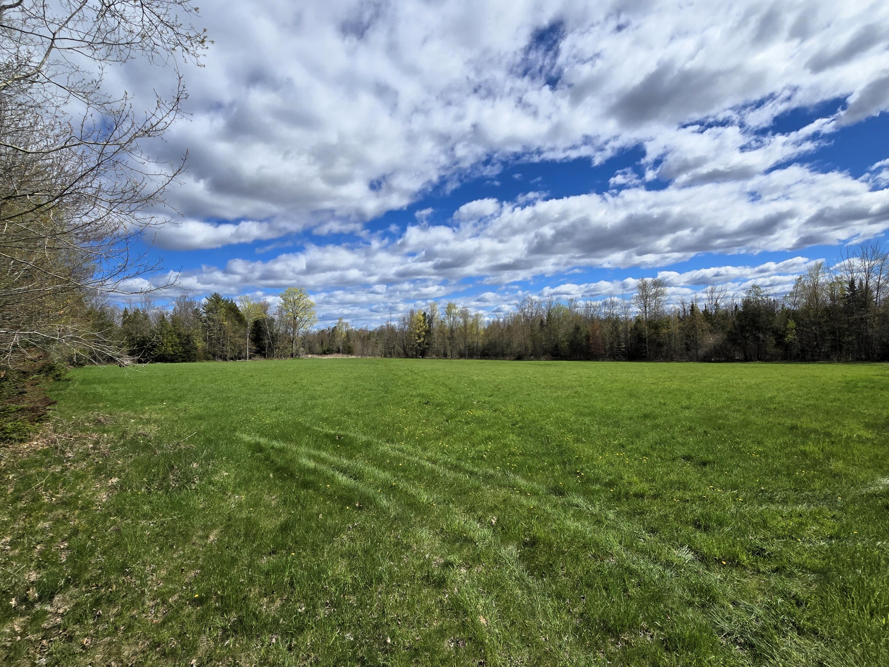 43 Dodge Road Burnham, ME 04922 - Photo 12 of 15 Rear Field