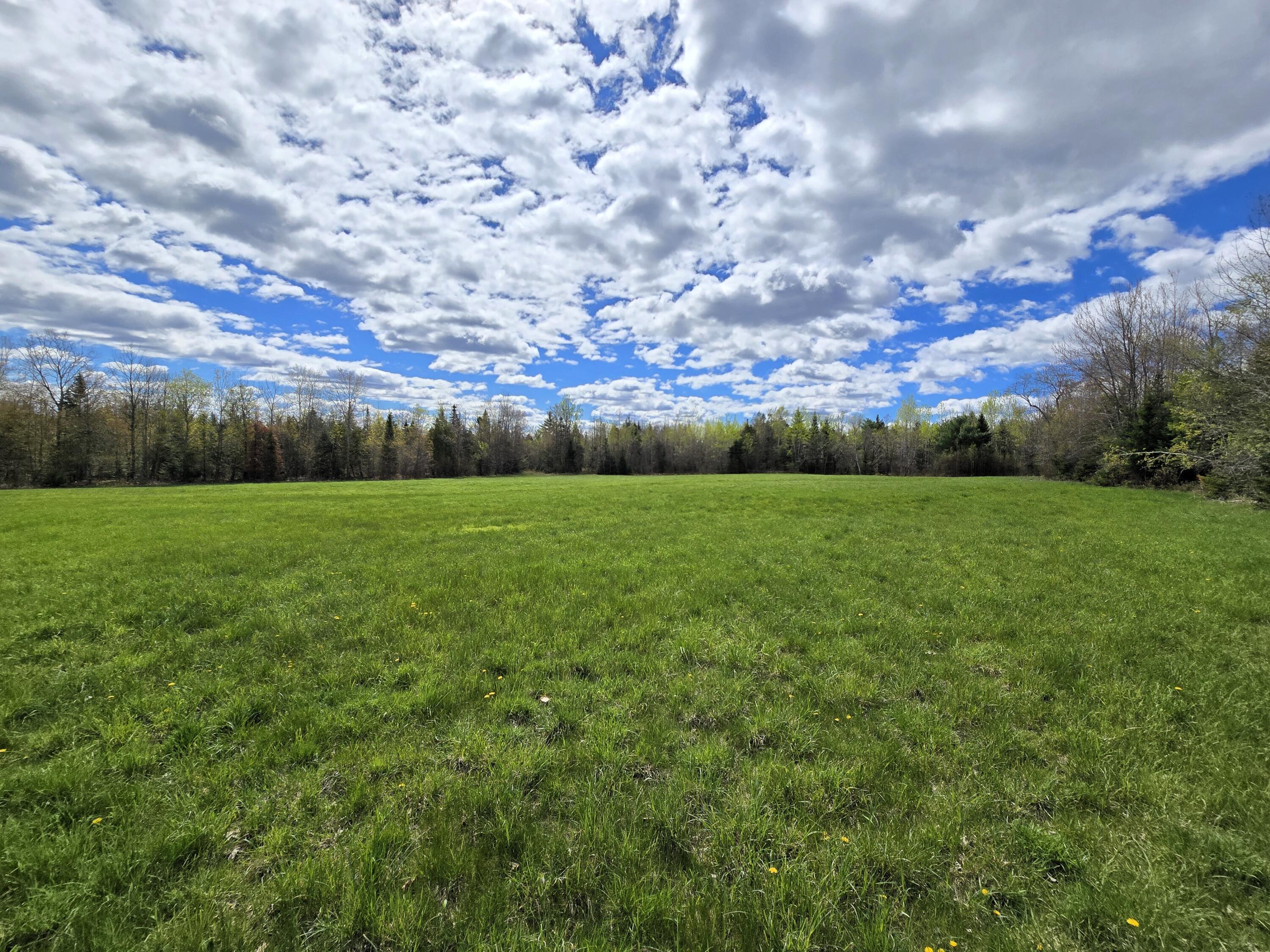 43 Dodge Road Burnham, ME 04922 - Photo 13 of 15 Rear Field