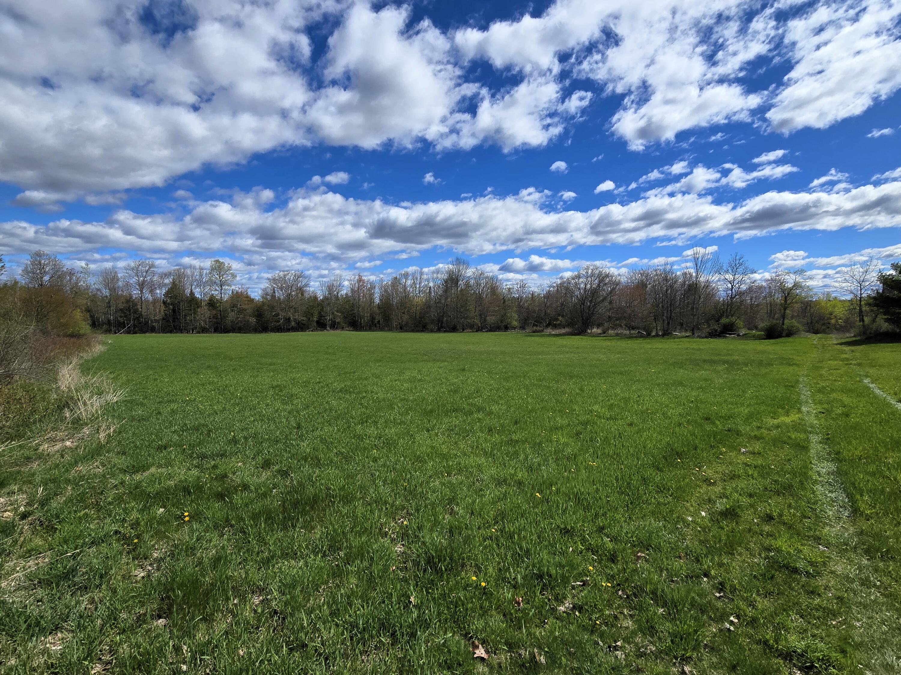 43 Dodge Road Burnham, ME 04922 - Photo 6 of 15 Front Field