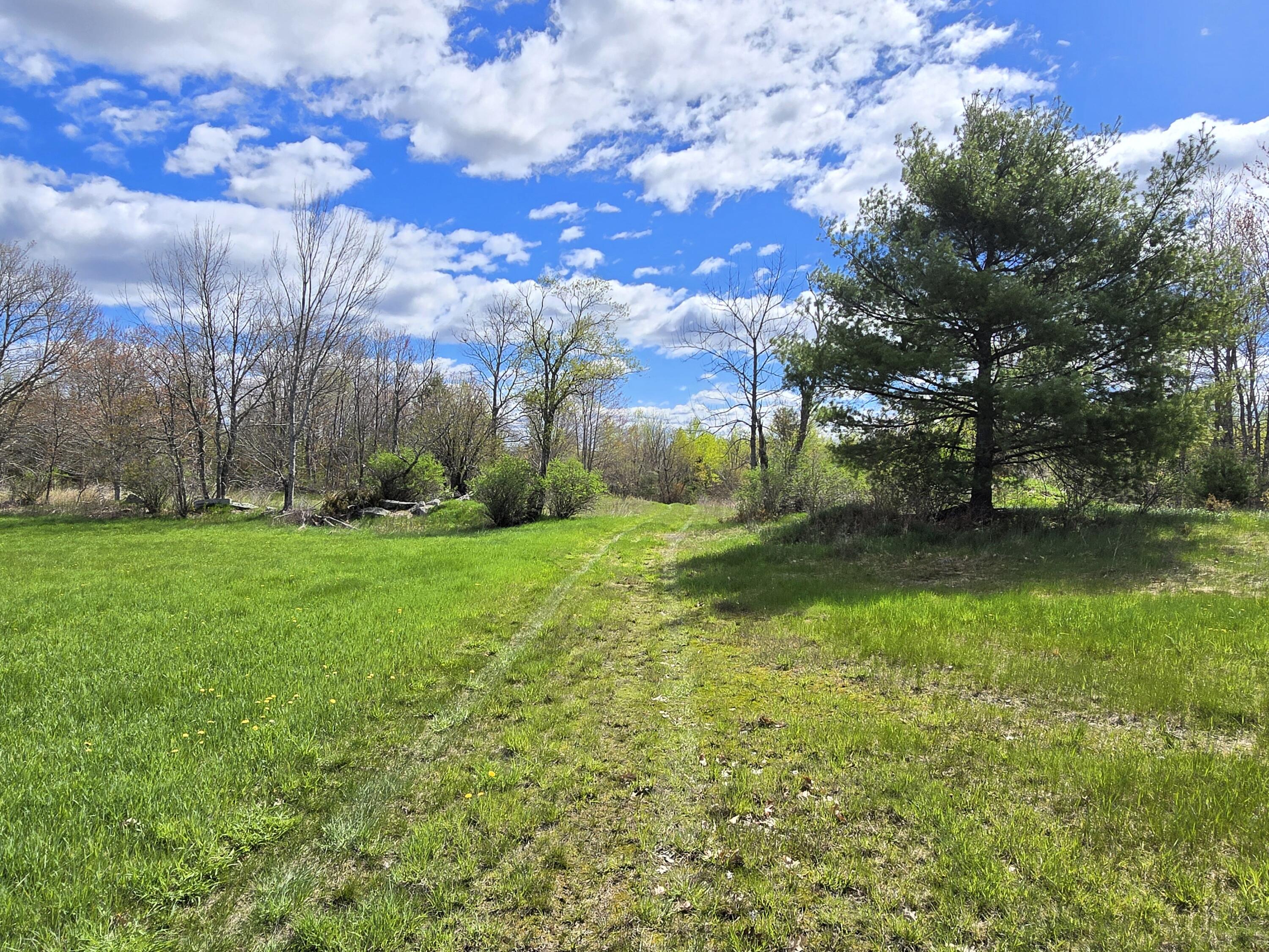 43 Dodge Road Burnham, ME 04922 - Photo 8 of 15 Front Field