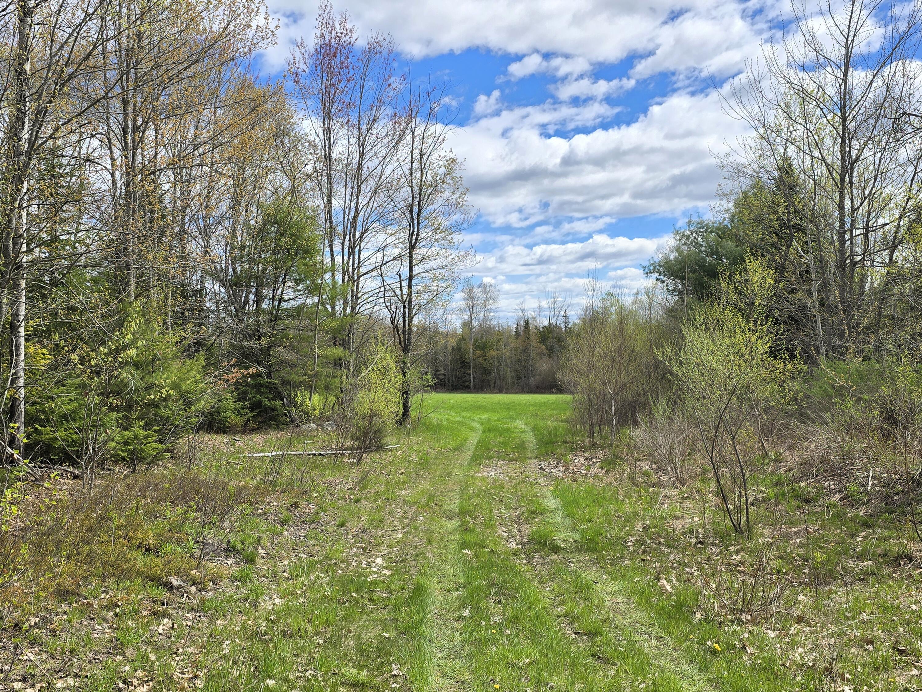 43 Dodge Road Burnham, ME 04922 - Photo 9 of 15 43 Dodge Road