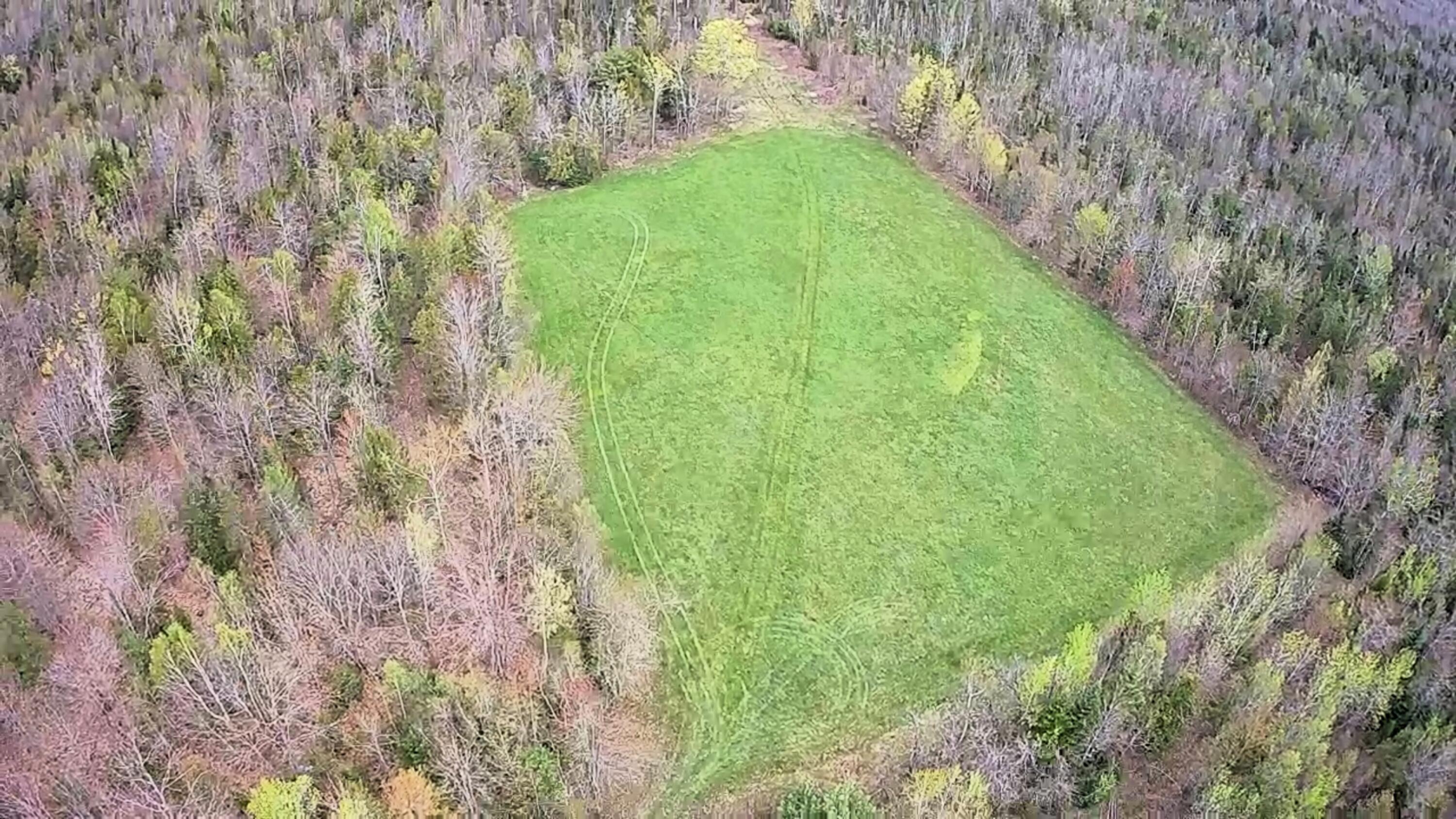 43 Dodge Road Burnham, ME 04922 - Photo 10 of 15 43 Dodge Road