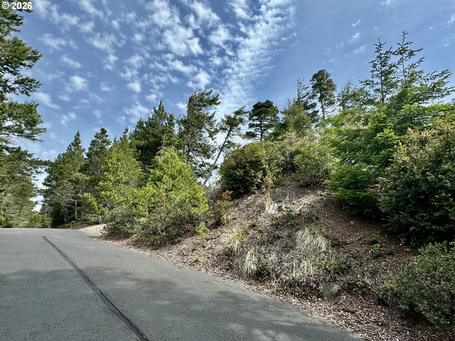 Kelsie Way, Unit 57 Florence, OR 97439 - Photo 2 of 9